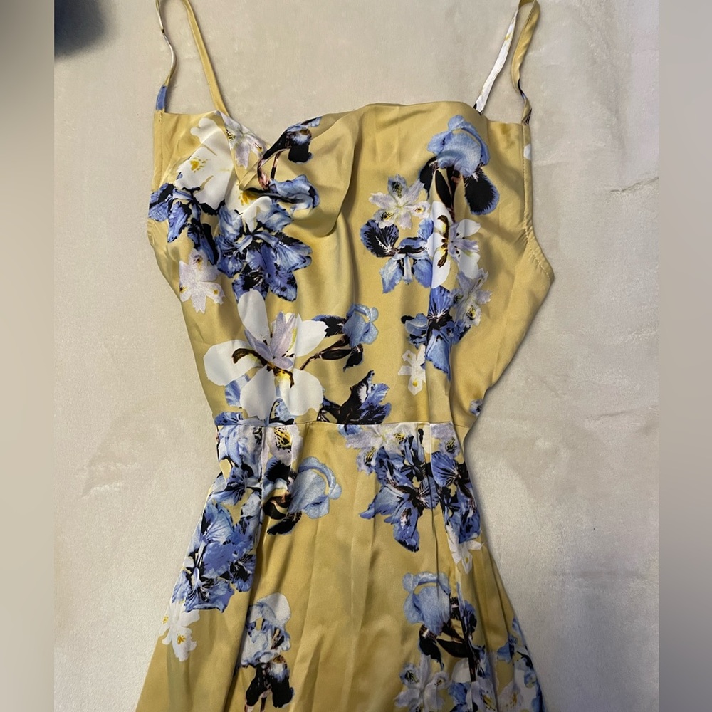 Cow neck satin dress